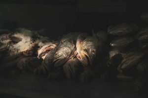 Understanding the Dynamics of Wholesaling and Retail Distribution