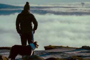 Exploring the Best Legal Practices