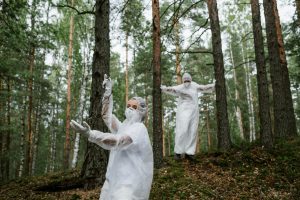 The Impact of Vehicle Emissions on Air Quality and Public Health